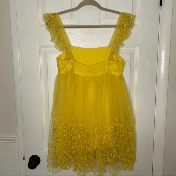 Anthropologie Let Me Be Eyelet Tulle Mini Dress - Picture 11 of 15